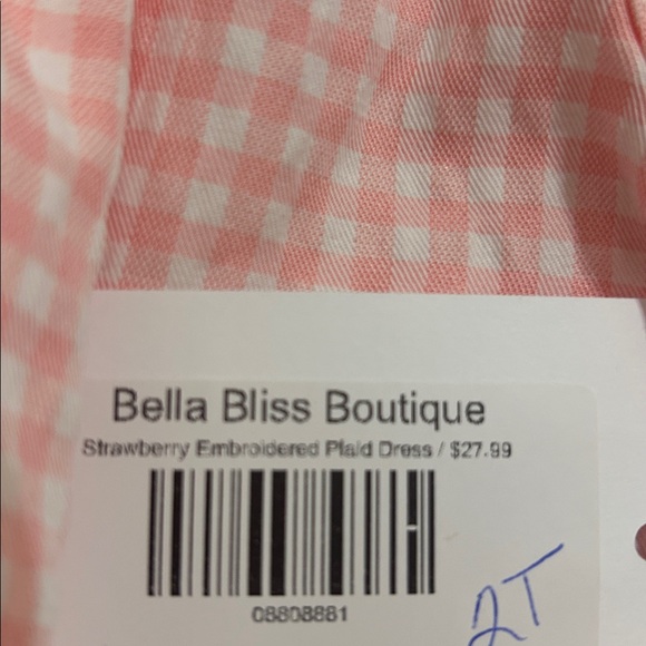 Pink Gingham Dress with Strawberry Embroidery and Smocking - Picture 3 of 7